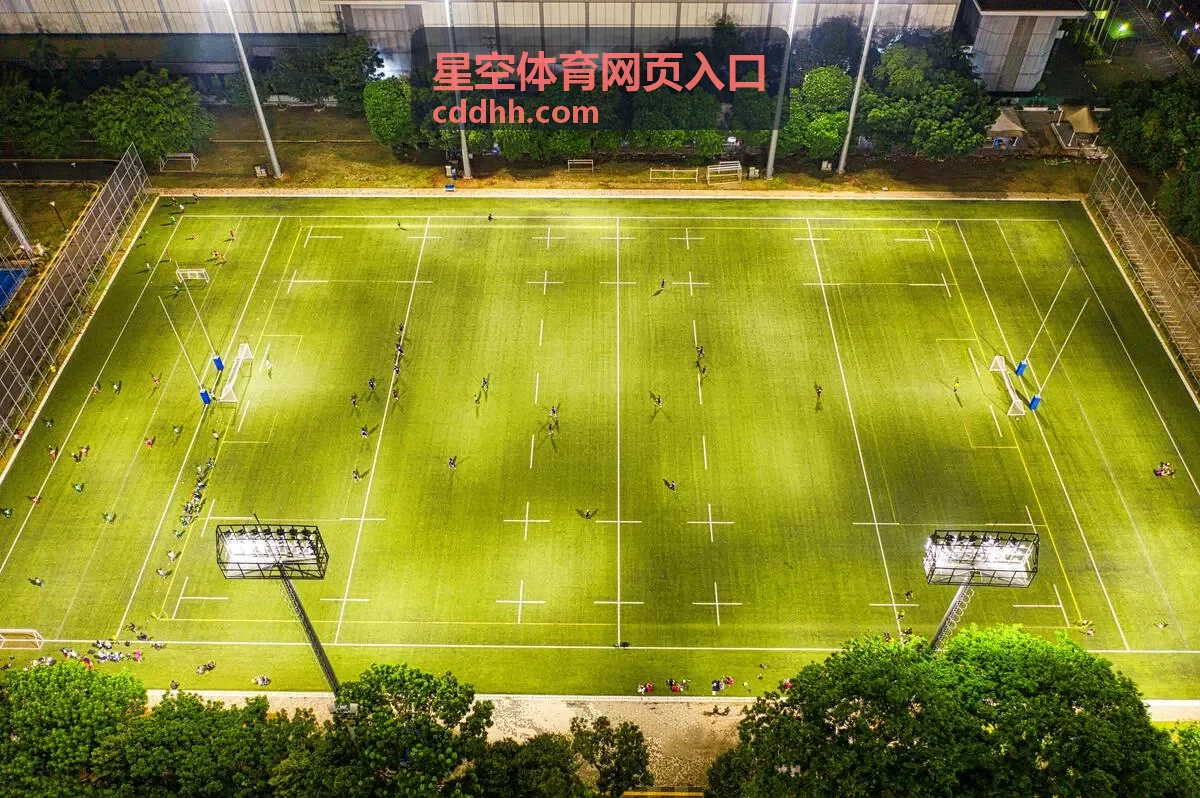 星空体育网页入口网页操作指引内容卡片