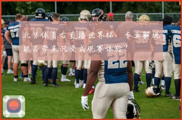 北京体育台直播世界杯，专业解说能否带来沉浸式观赛体验？