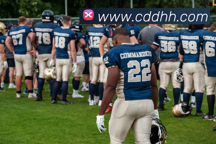 爱游戏ayx网页版入口APP 封面图